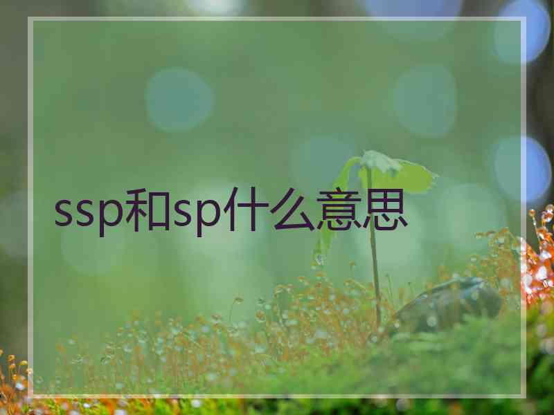 ssp和sp什么意思