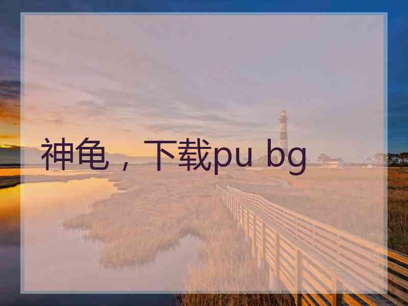 神龟，下载pu bg