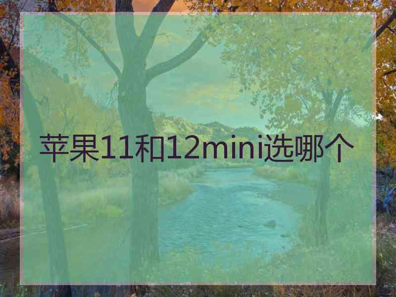 苹果11和12mini选哪个