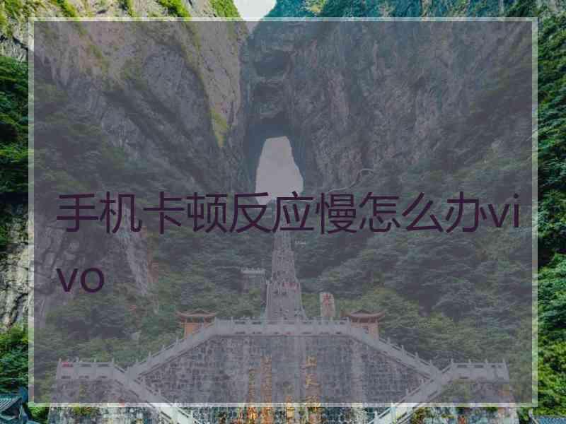 手机卡顿反应慢怎么办vivo