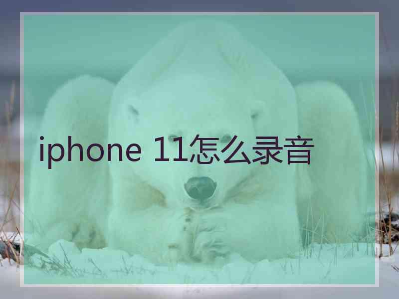 iphone 11怎么录音