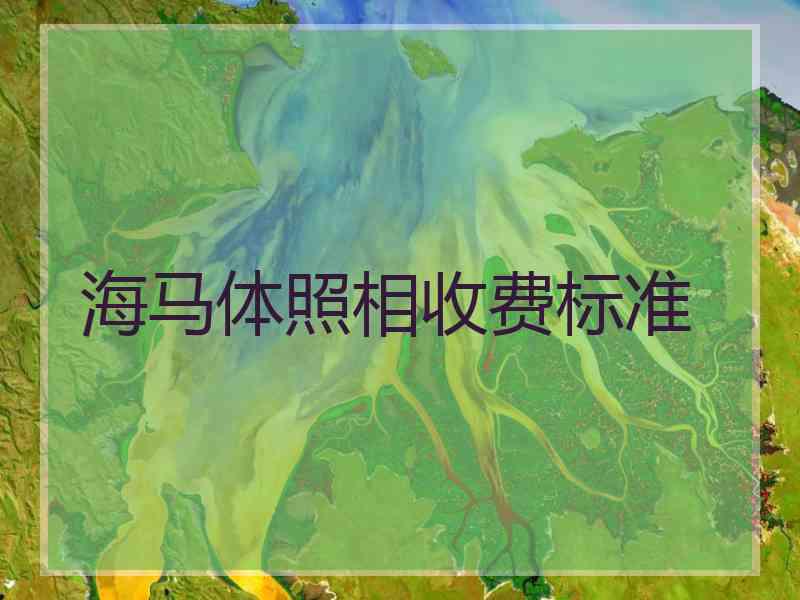 海马体照相收费标准