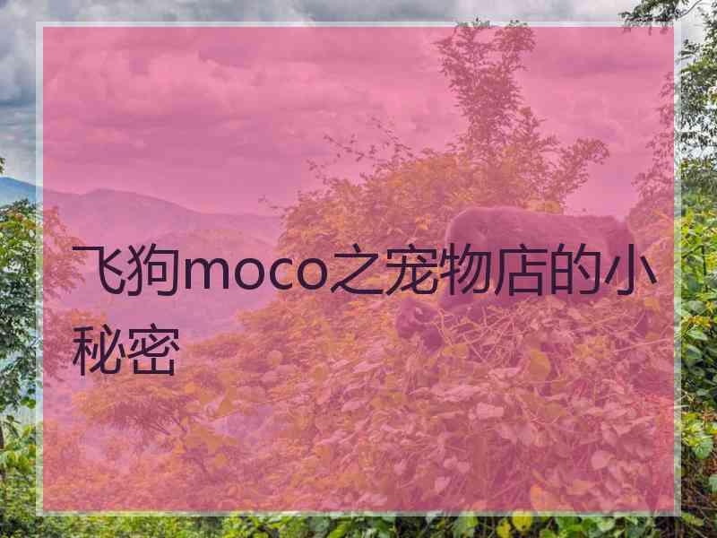 飞狗moco之宠物店的小秘密