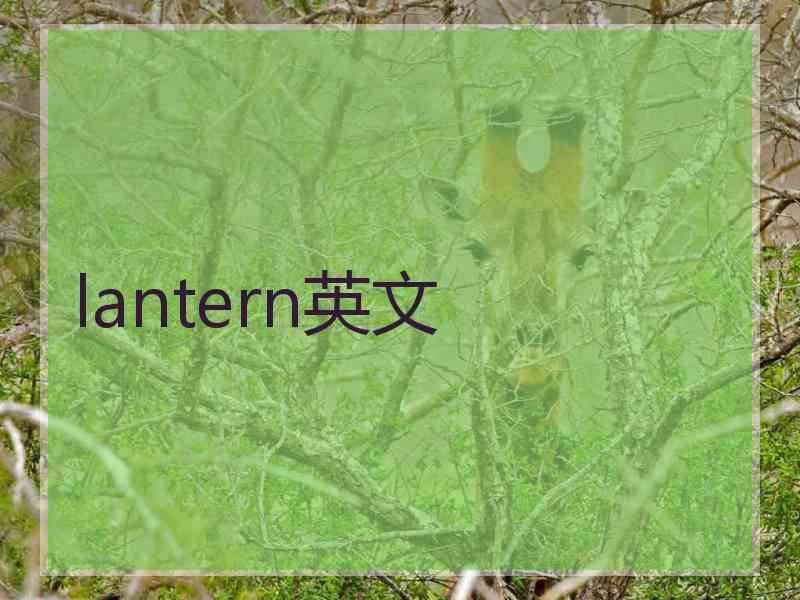 lantern英文