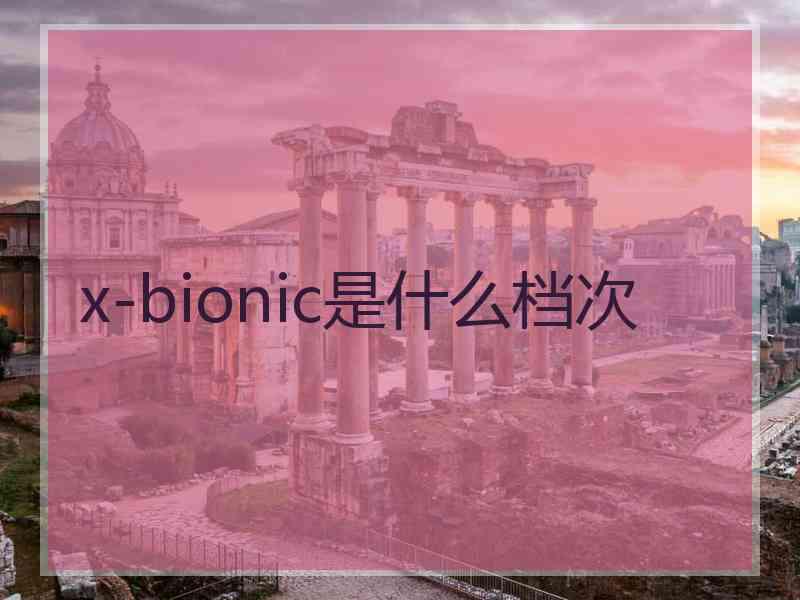 x-bionic是什么档次