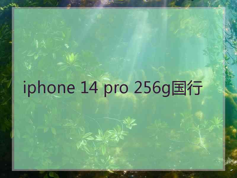 iphone 14 pro 256g国行