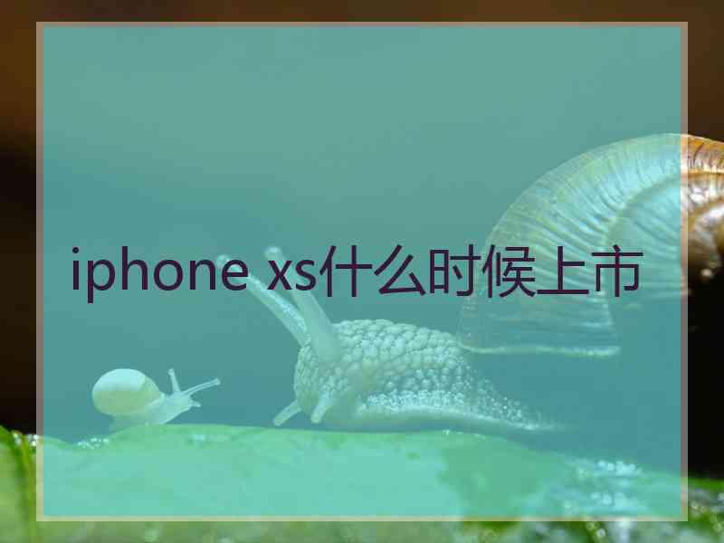 iphone xs什么时候上市