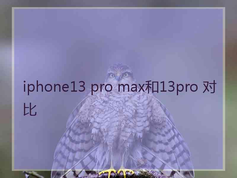 iphone13 pro max和13pro 对比