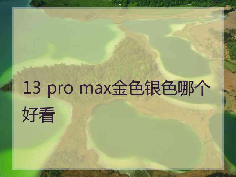 13 pro max金色银色哪个好看