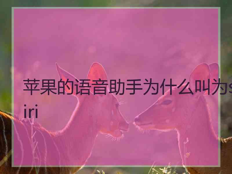 苹果的语音助手为什么叫为siri