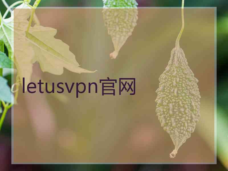 letusvpn官网