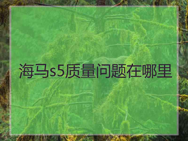 海马s5质量问题在哪里