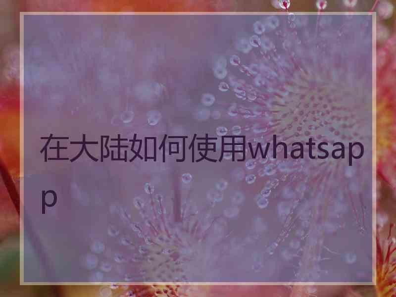 在大陆如何使用whatsapp