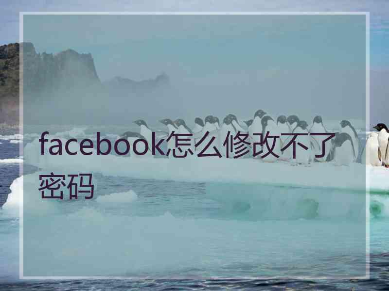 facebook怎么修改不了密码