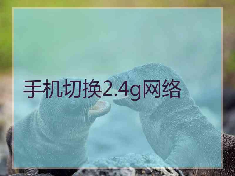 手机切换2.4g网络