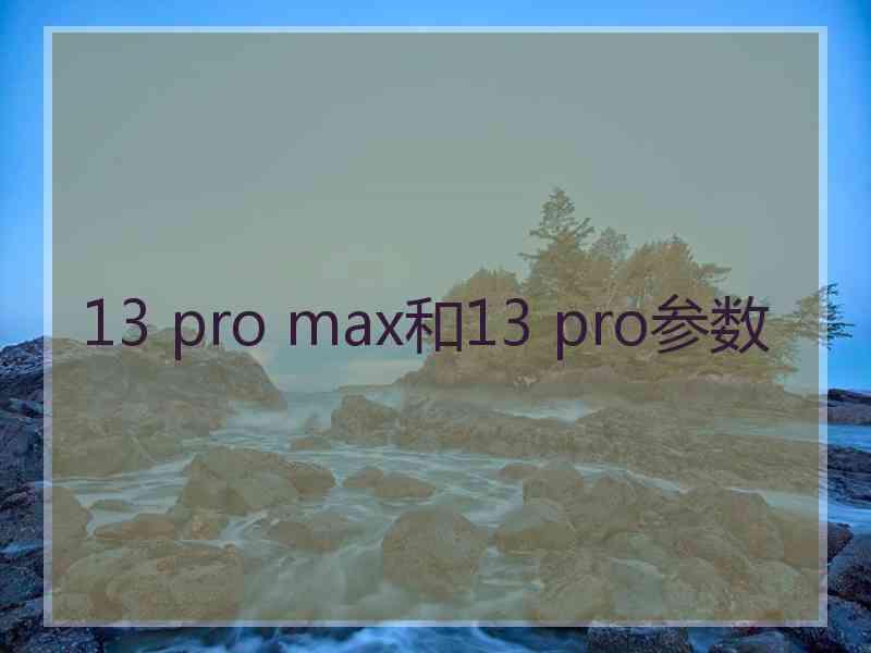 13 pro max和13 pro参数