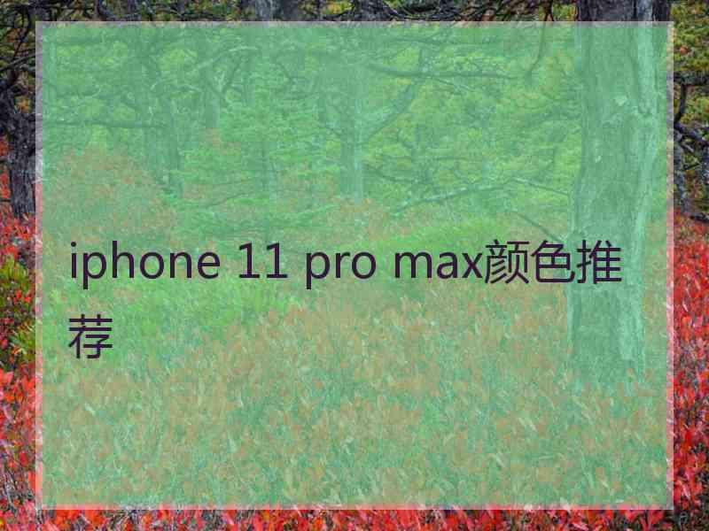 iphone 11 pro max颜色推荐