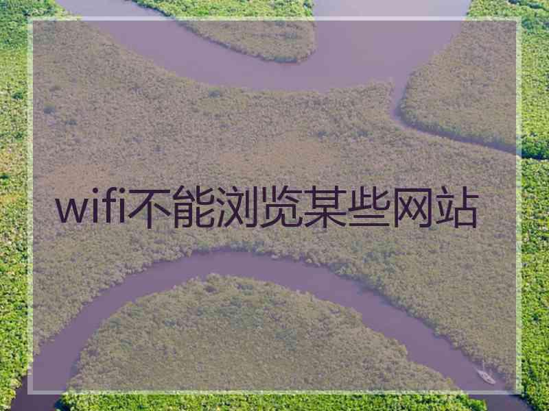 wifi不能浏览某些网站