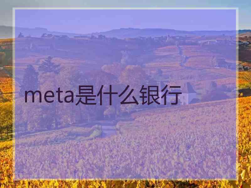 meta是什么银行