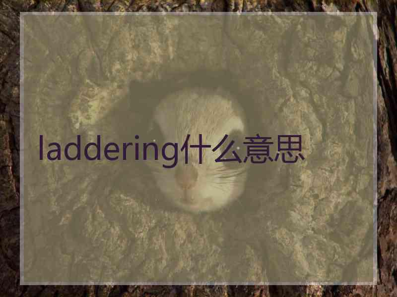 laddering什么意思