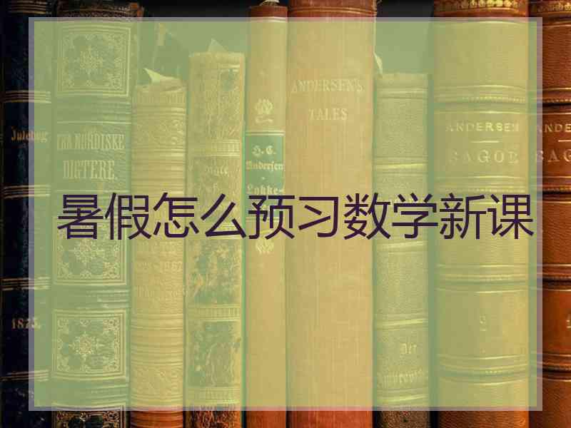 暑假怎么预习数学新课