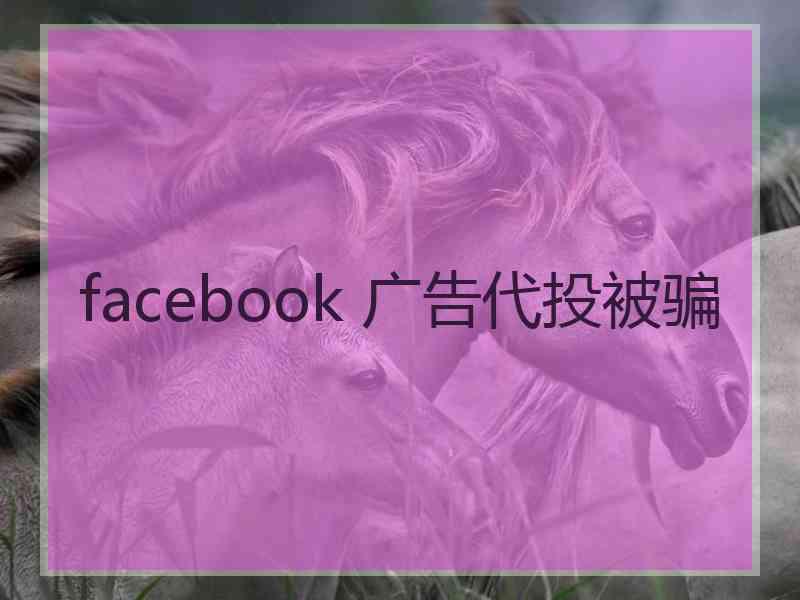 facebook 广告代投被骗