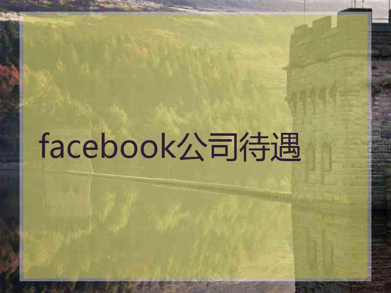 facebook公司待遇