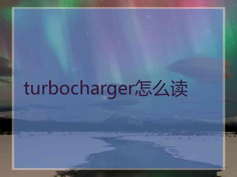 turbocharger怎么读