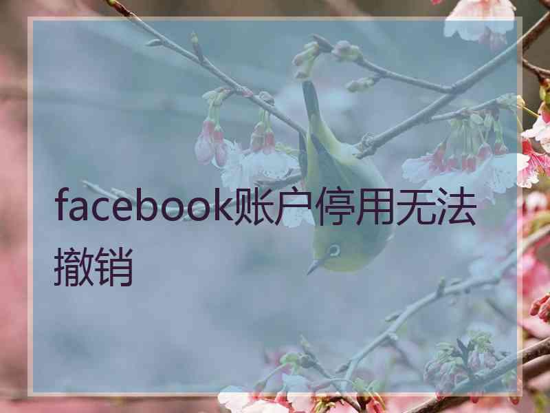 facebook账户停用无法撤销