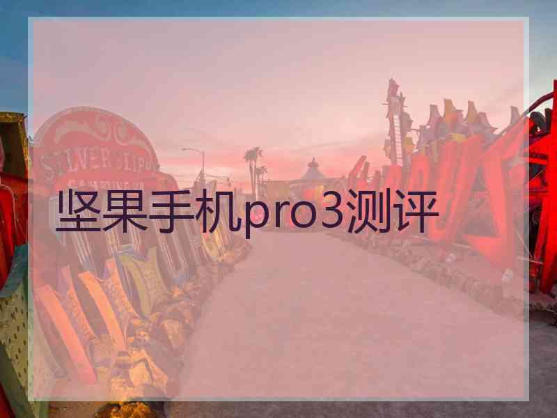 坚果手机pro3测评