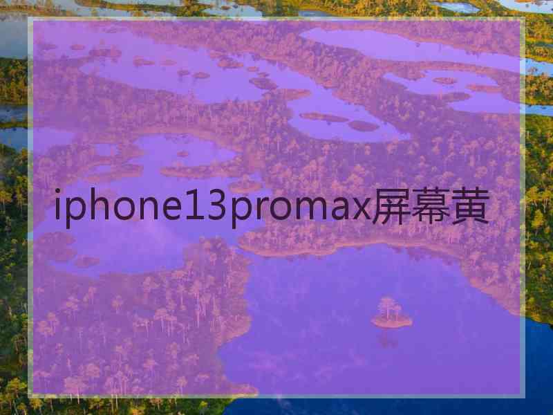 iphone13promax屏幕黄