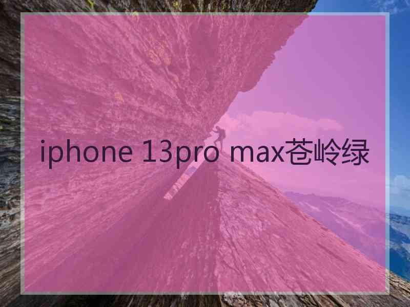 iphone 13pro max苍岭绿