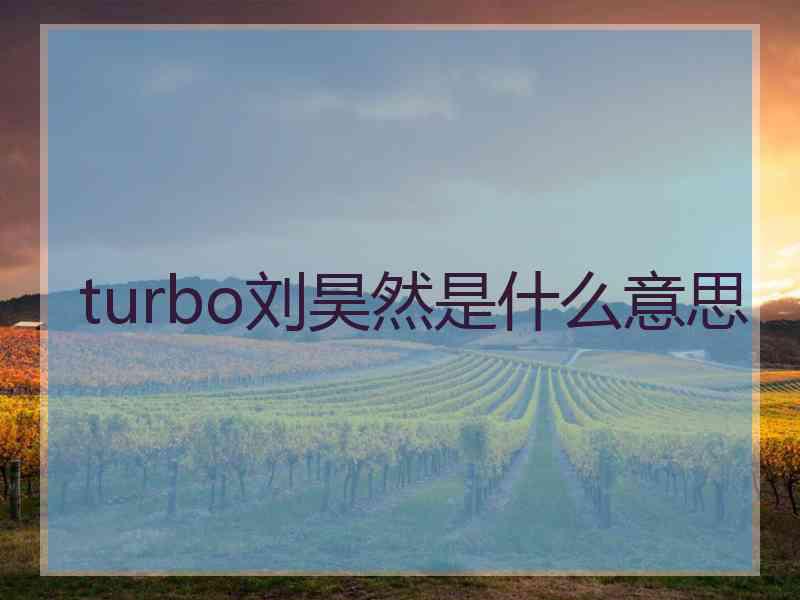 turbo刘昊然是什么意思