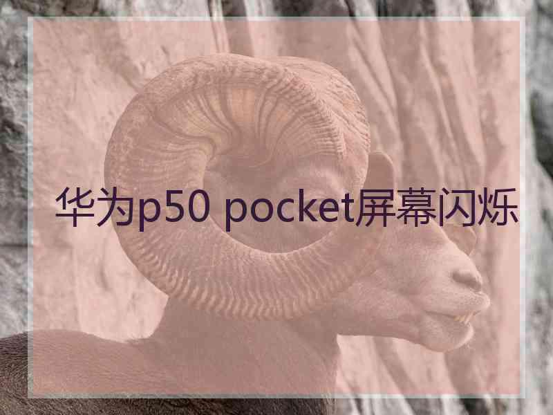 华为p50 pocket屏幕闪烁