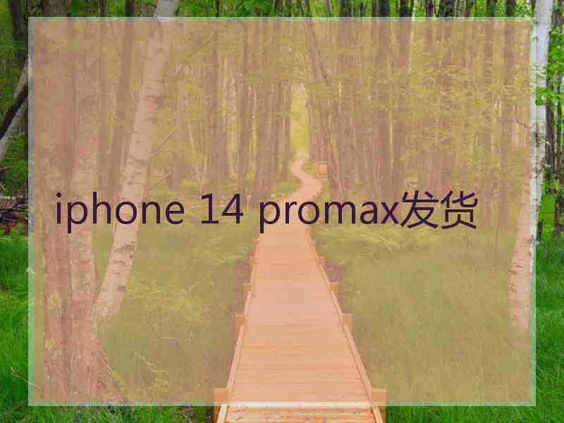 iphone 14 promax发货