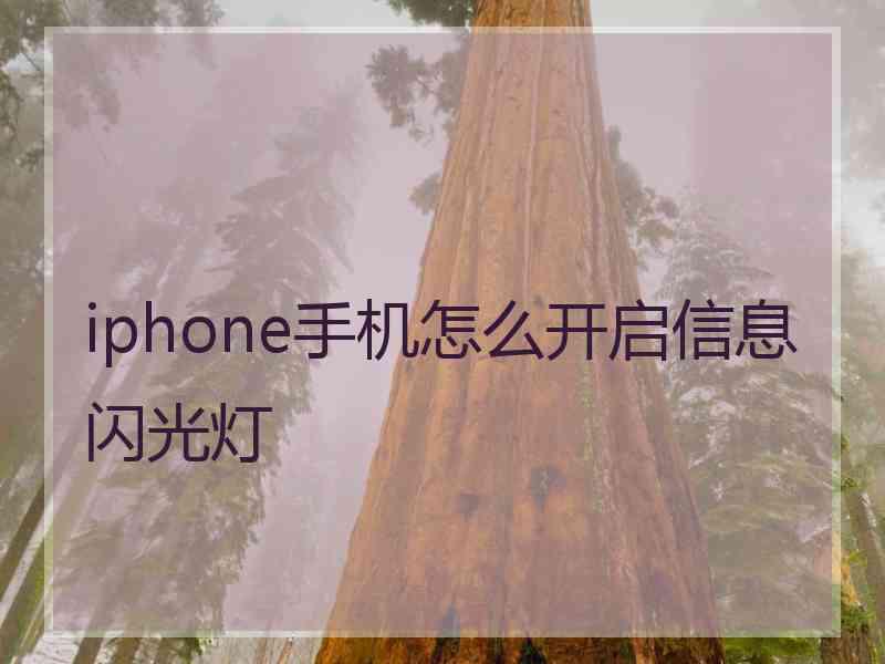 iphone手机怎么开启信息闪光灯