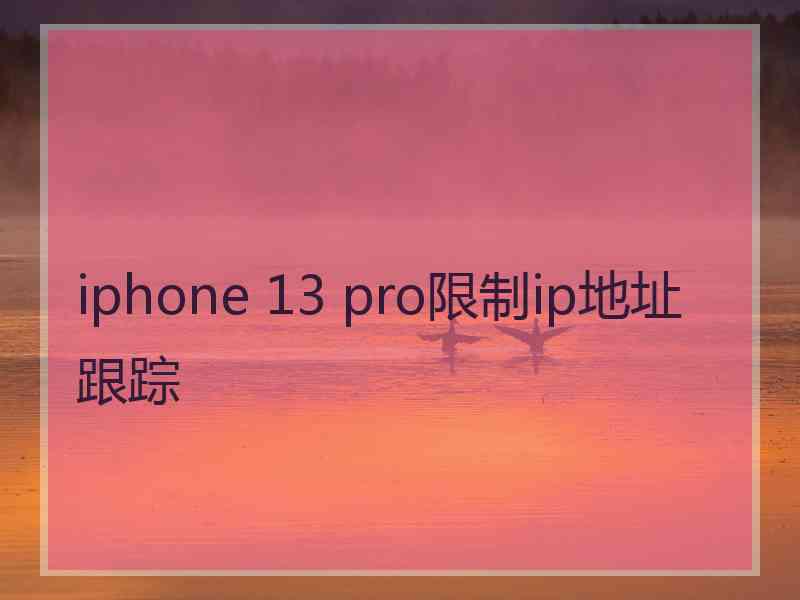 iphone 13 pro限制ip地址跟踪