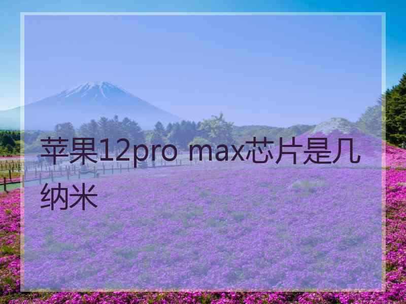 苹果12pro max芯片是几纳米