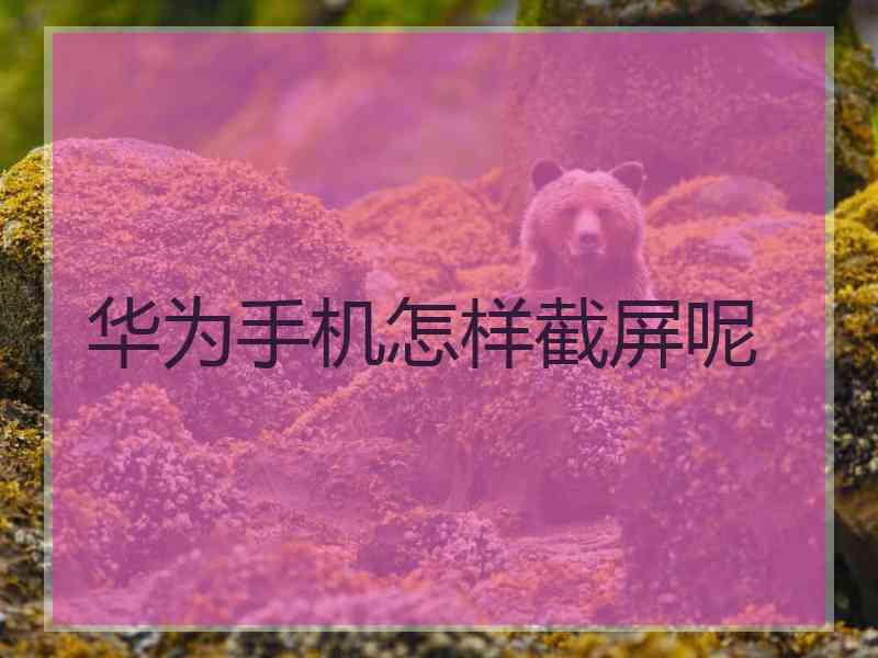 华为手机怎样截屏呢