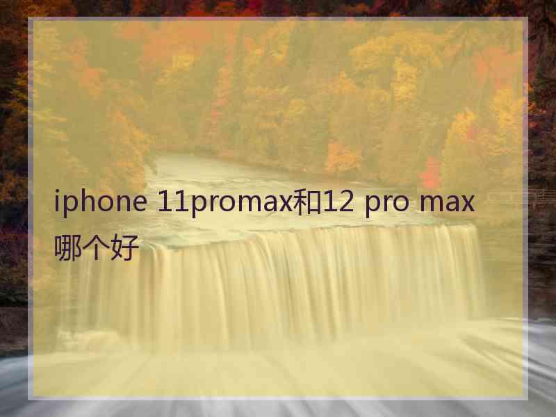 iphone 11promax和12 pro max哪个好