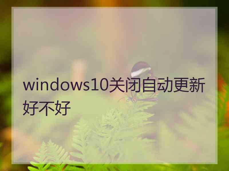 windows10关闭自动更新好不好