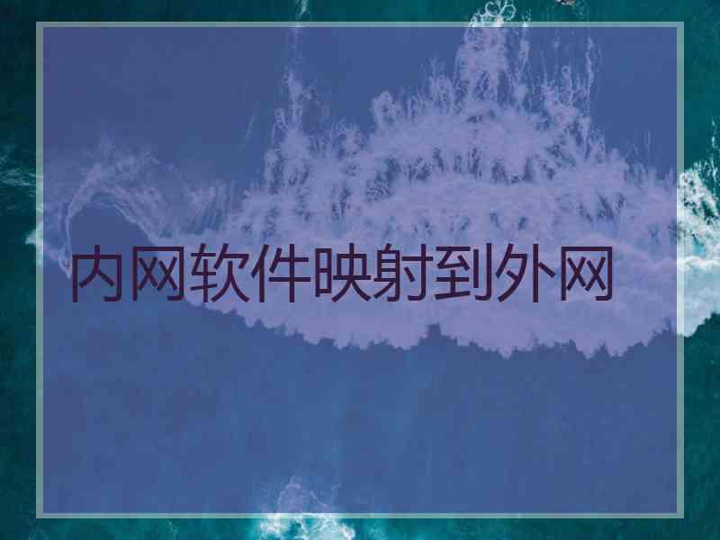 内网软件映射到外网