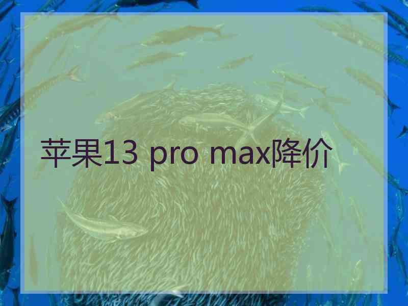 苹果13 pro max降价