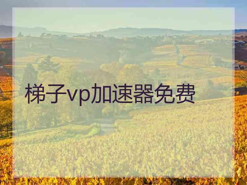 梯子vp加速器免费