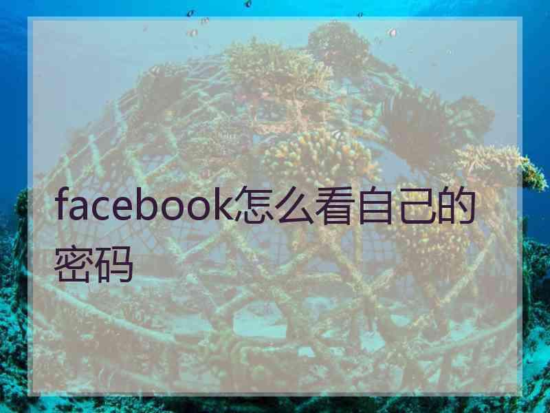 facebook怎么看自己的密码