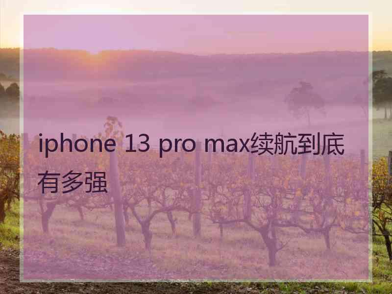 iphone 13 pro max续航到底有多强