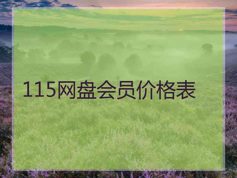 115网盘会员价格表