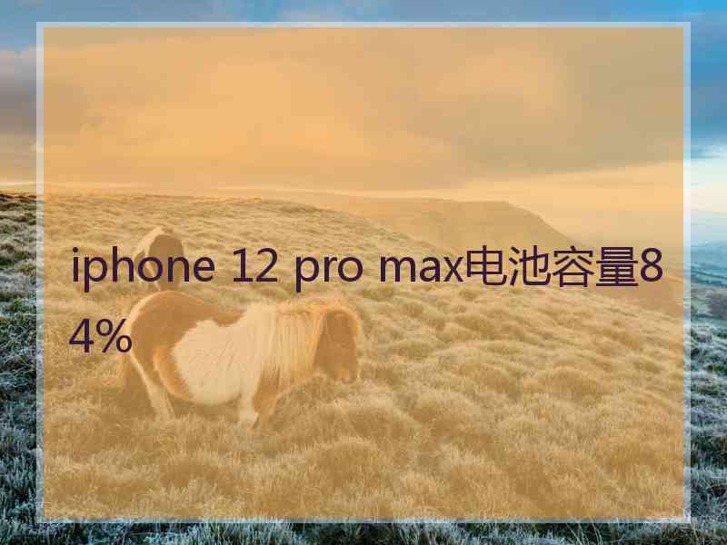 iphone 12 pro max电池容量84%