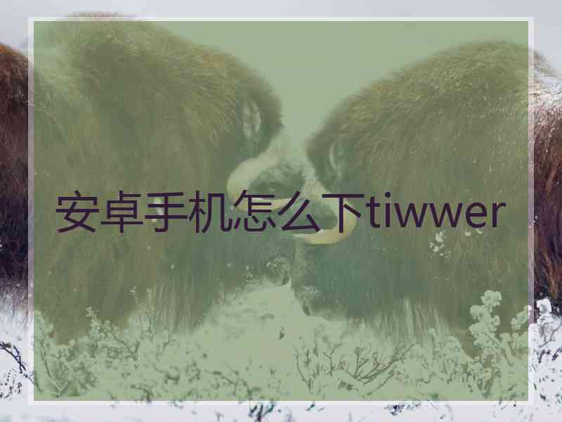 安卓手机怎么下tiwwer