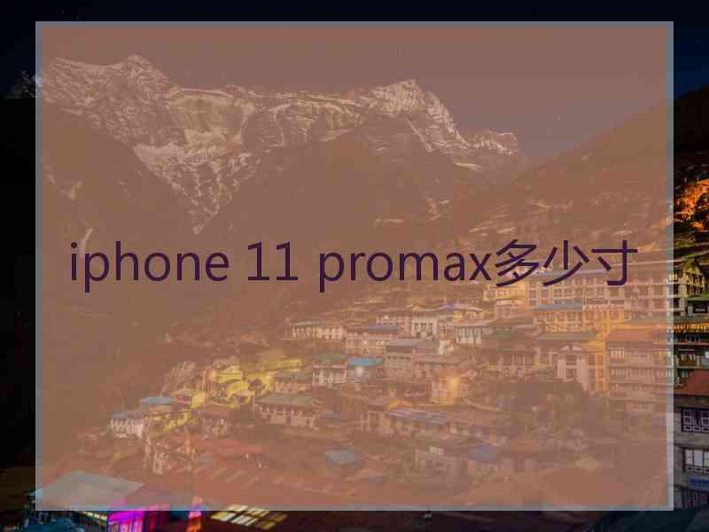 iphone 11 promax多少寸